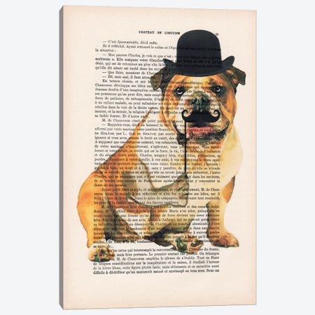 English Bulldog Canvas Print #COC96} by Coco de Paris Canvas Artwork