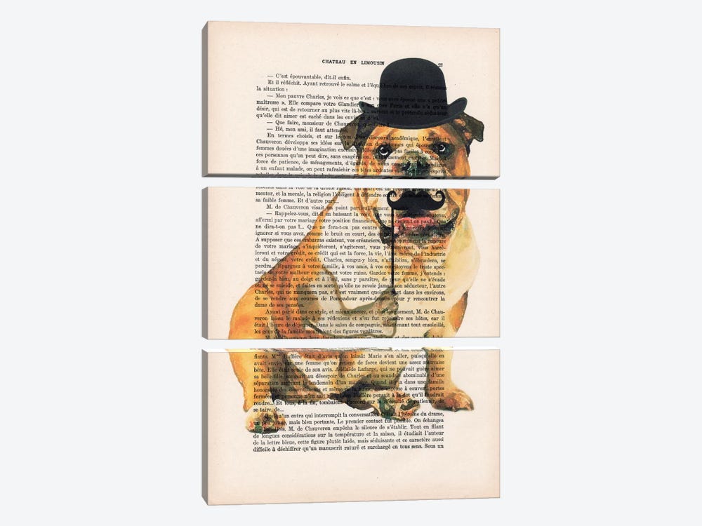 English Bulldog by Coco de Paris 3-piece Canvas Art Print