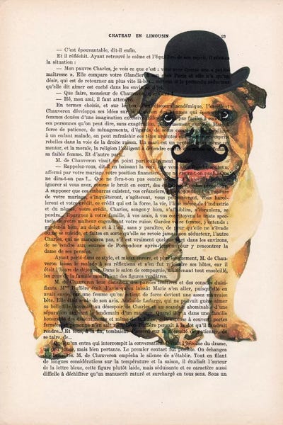 Bulldogs: English Bulldog by Coco de Paris