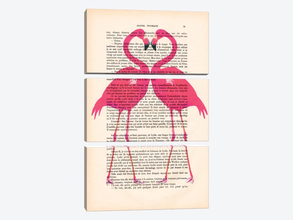 Flamingo Heart by Coco de Paris 3-piece Canvas Art