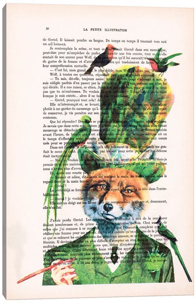 Fox With Birds Canvas Art Print - Fox Art