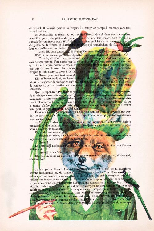 Fox With Birds by Coco de Paris wall art