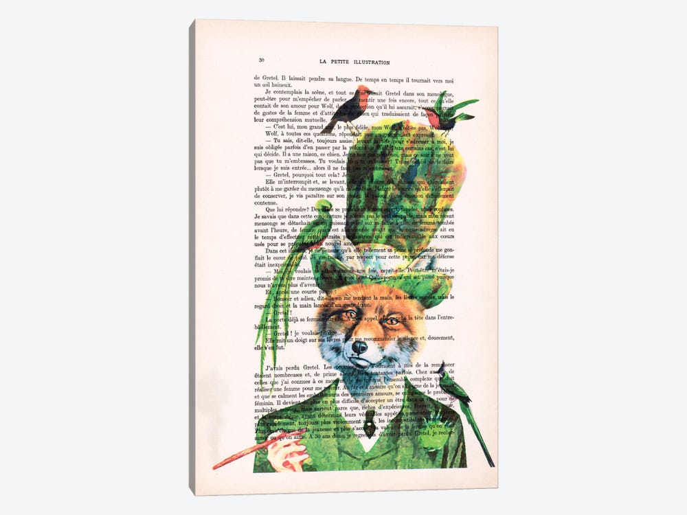 Fox With Birds by Coco de Paris 1-piece Canvas Art