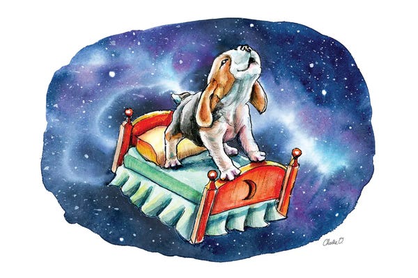 Beagles: Beautiful Dreams by Charlie O'Shields