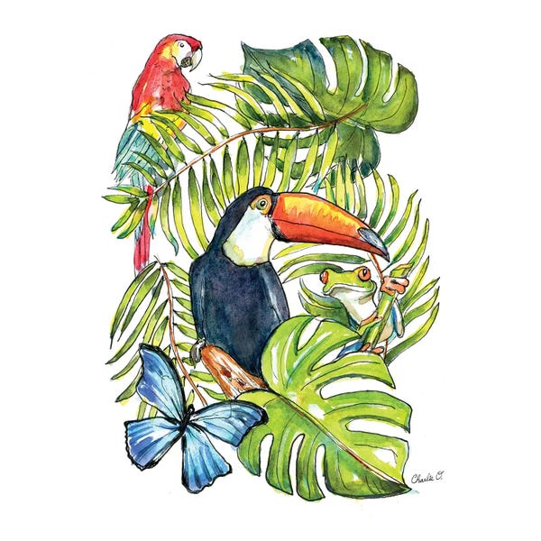 Parrots: Coloring Book Memories by Charlie O'Shields