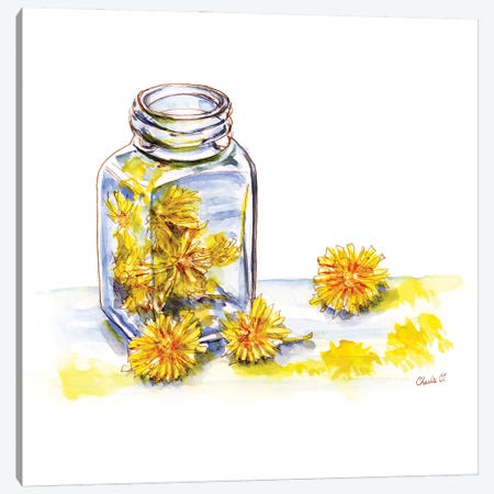 Painting With Dandelions Canvas Print #COI13} by Charlie O'Shields Art Print