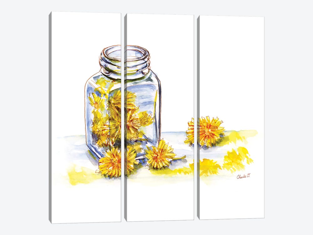 Painting With Dandelions by Charlie O'Shields 3-piece Canvas Art
