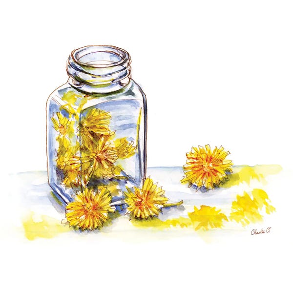Dandelions: Painting With Dandelions by Charlie O'Shields
