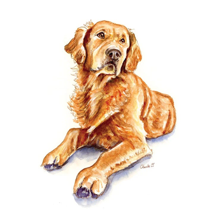 Each Day Is A Golden Opportunity by Charlie O'Shields wall art