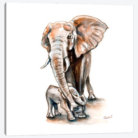 Elephant Appreciation Day Canvas Print #COI18} by Charlie O'Shields Art Print