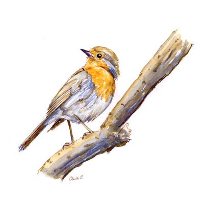 Draw A Bird Day by Charlie O'Shields canvas print