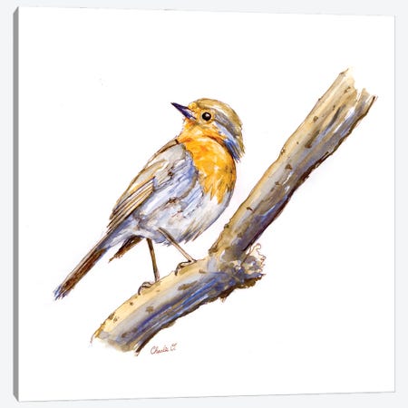 Draw A Bird Day Canvas Print #COI19} by Charlie O'Shields Art Print