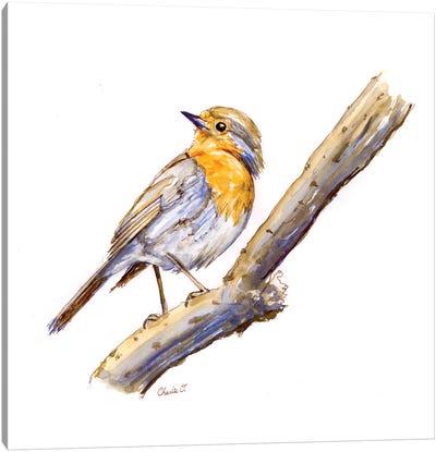Draw A Bird Day Canvas Art Print - Charlie O'Shields