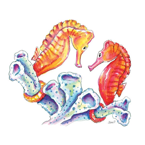 Seahorses: Face To Face by Charlie O'Shields