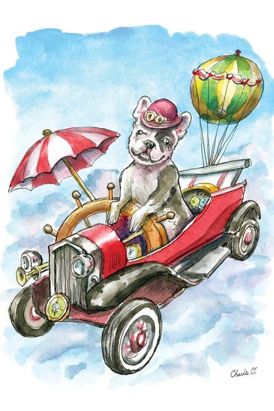 Hot Air Balloons: Flying Machines by Charlie O'Shields