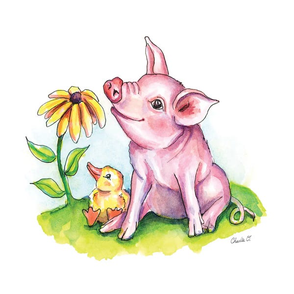 Pigs: Fresh Little Moments by Charlie O'Shields