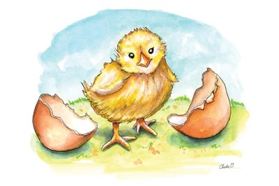 Freshly Hatched by Charlie O'Shields canvas print