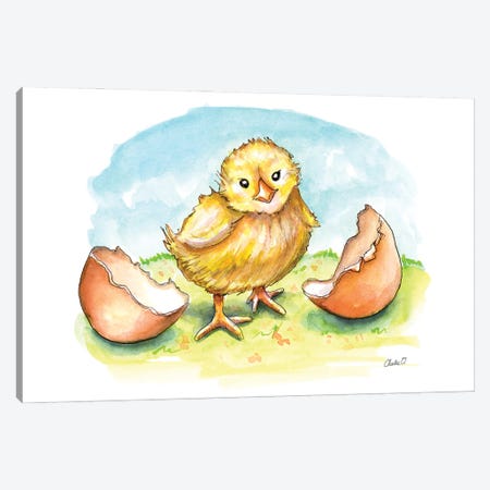 Freshly Hatched Canvas Print #COI28} by Charlie O'Shields Canvas Wall Art
