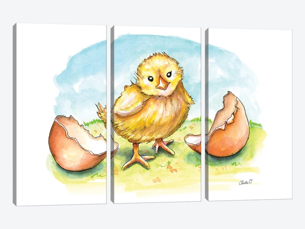 Freshly Hatched by Charlie O'Shields 3-piece Canvas Wall Art