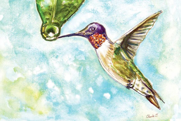 Rain: Rainy Days by Charlie O'Shields