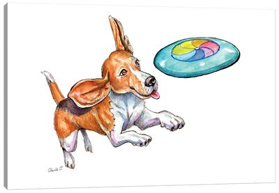 Jumping Through The Air Canvas Art Print - Beagle Art