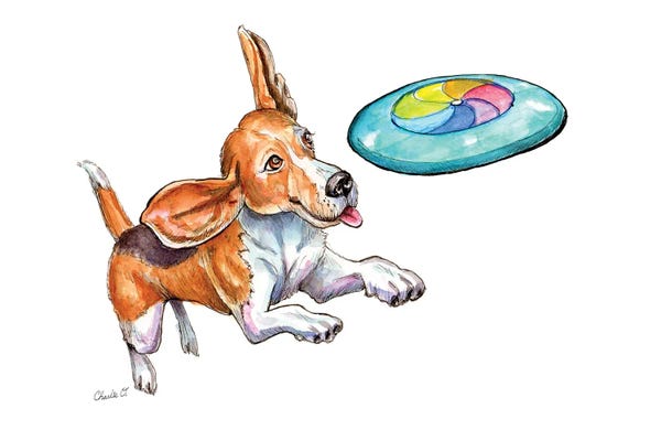 Beagles: Jumping Through The Air by Charlie O'Shields