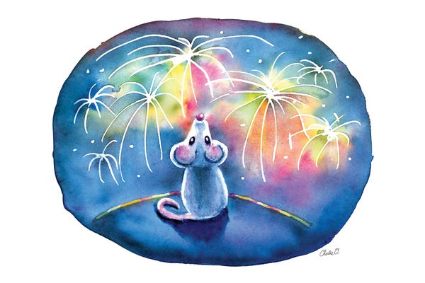 Fireworks: Lighting Up The Sky by Charlie O'Shields