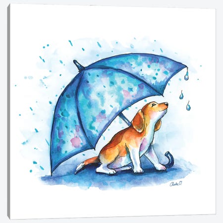 Little Drops Of Rain Canvas Print #COI44} by Charlie O'Shields Art Print
