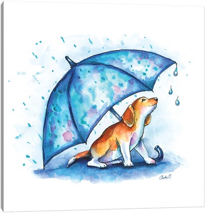 Little Drops Of Rain Canvas Art Print - Charlie O'Shields
