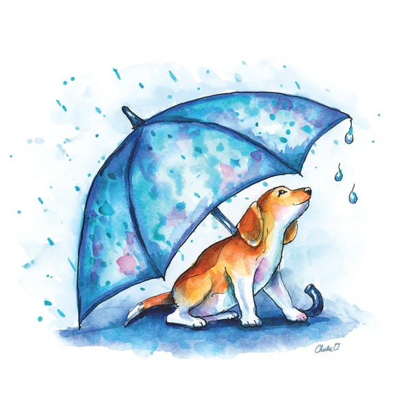 Rain: Little Drops Of Rain by Charlie O'Shields