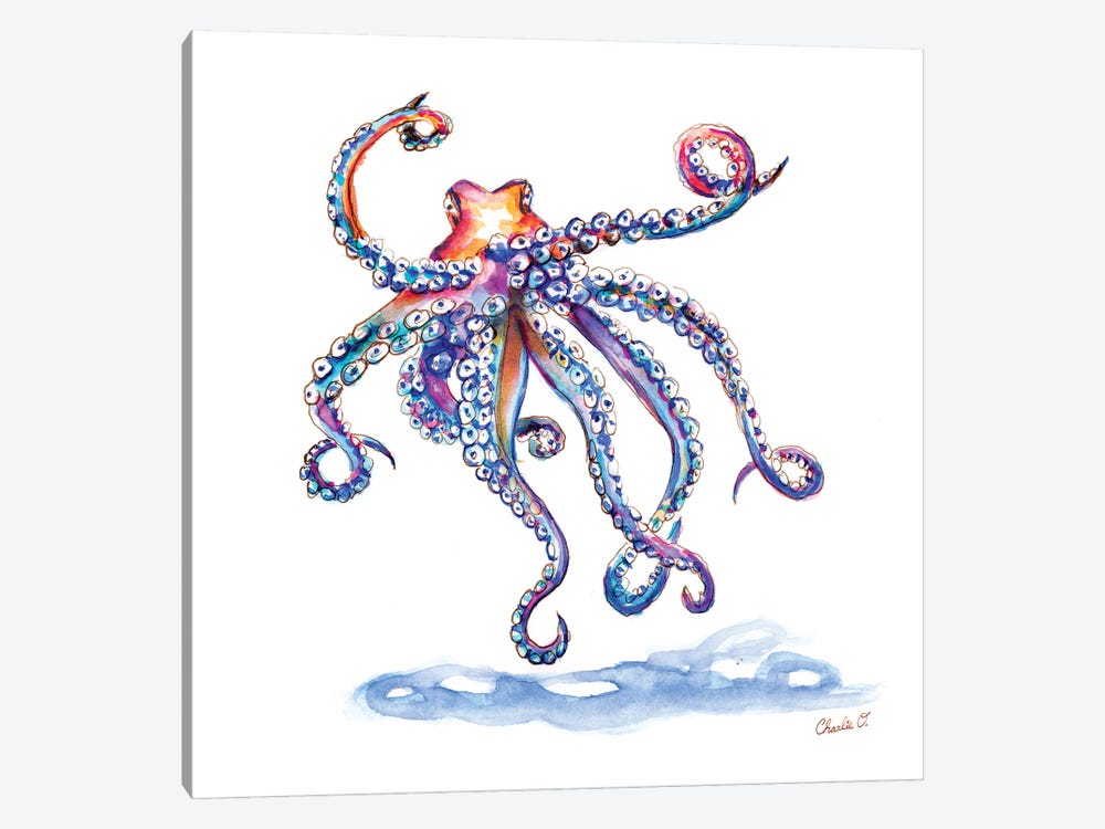 Meeting An Octopus by Charlie O'Shields 1-piece Canvas Print