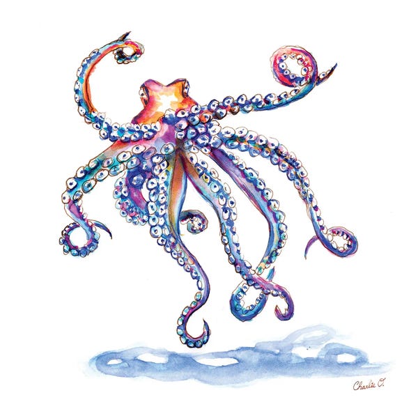 Octopi: Meeting An Octopus by Charlie O'Shields