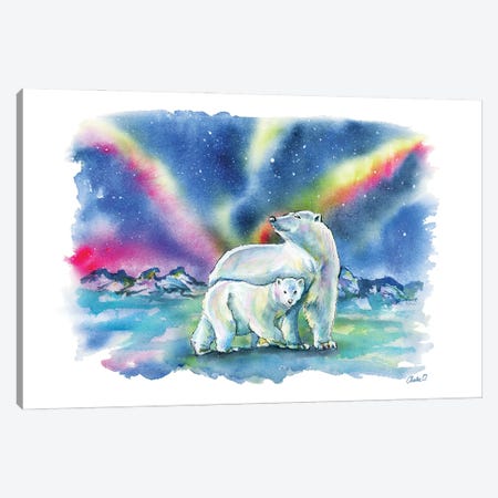Northern Lights Canvas Print #COI54} by Charlie O'Shields Canvas Artwork
