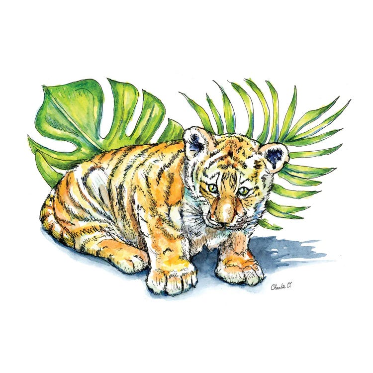 One Little Tiger