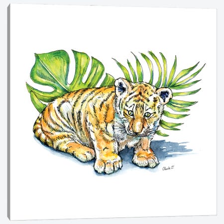 One Little Tiger Canvas Print #COI56} by Charlie O'Shields Canvas Art