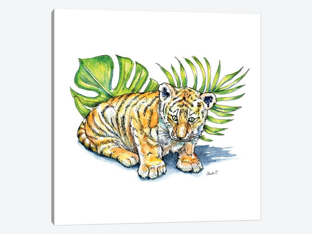 One Little Tiger by Charlie O'Shields 1-piece Canvas Art Print