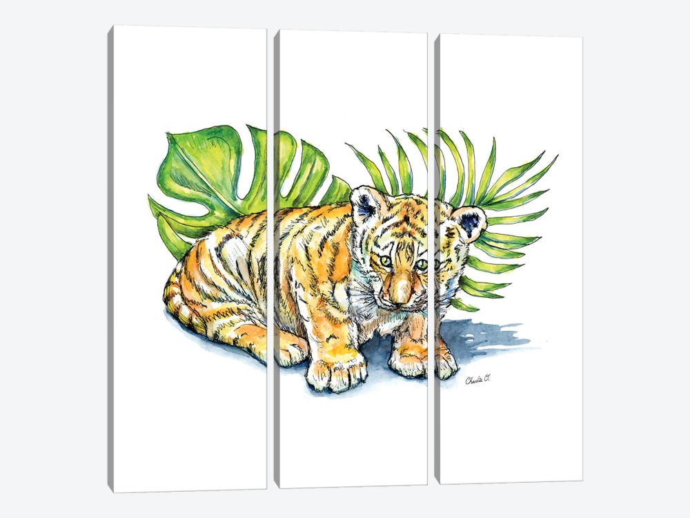 One Little Tiger by Charlie O'Shields 3-piece Canvas Print