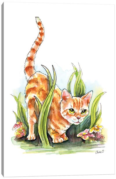 Ready To Pounce Canvas Art Print - Kitten Art