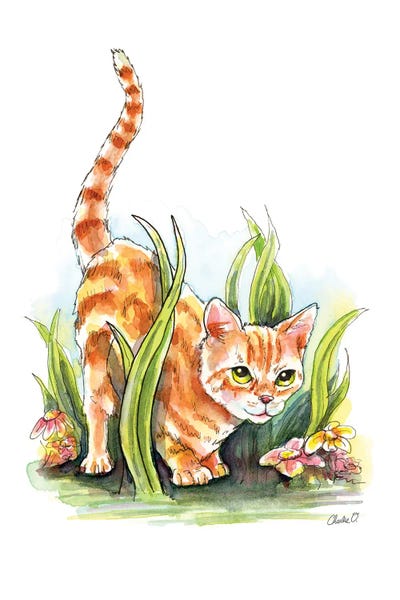 Grasses: Ready To Pounce by Charlie O'Shields