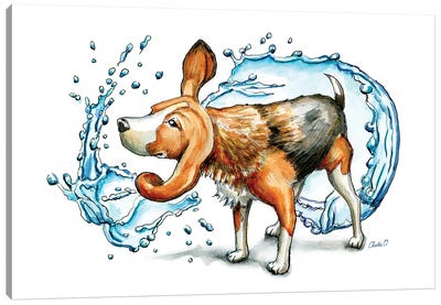 Shake It Off Canvas Art Print - Beagle Art