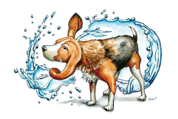 Beagles: Shake It Off by Charlie O'Shields