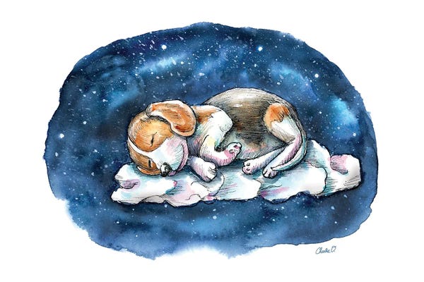 Beagles: Sleeping On A Cloud by Charlie O'Shields