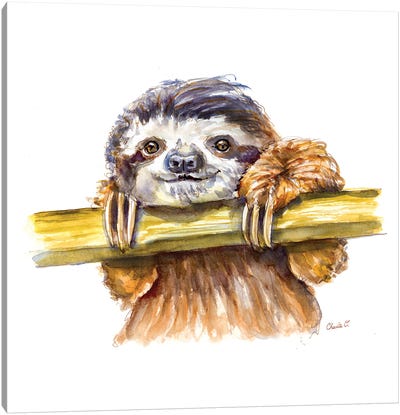 Little Sloth Canvas Art Print - Sloth Art
