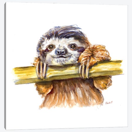 Little Sloth Canvas Print #COI65} by Charlie O'Shields Art Print