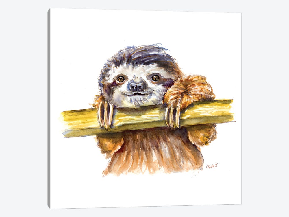 Little Sloth by Charlie O'Shields 1-piece Canvas Art Print