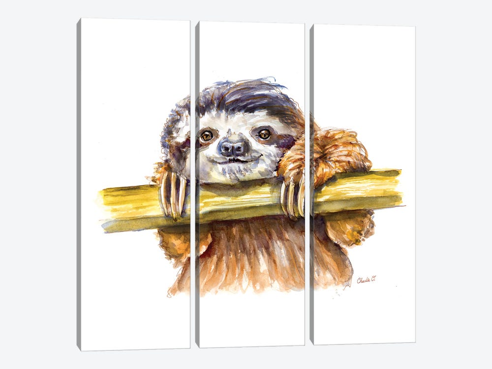 Little Sloth by Charlie O'Shields 3-piece Art Print