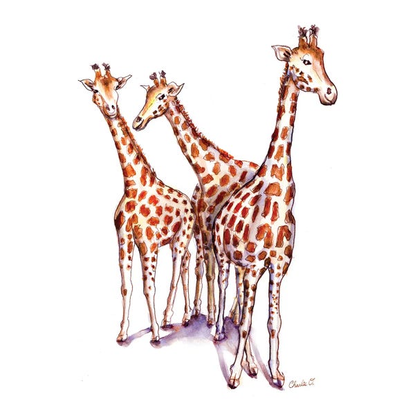 Giraffes: Standing Out From The Crowd by Charlie O'Shields
