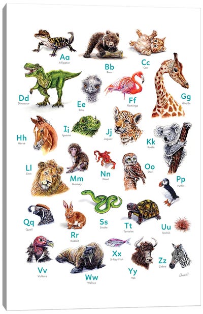 ABC Animals Canvas Art Print - Kids Dinosaur Art