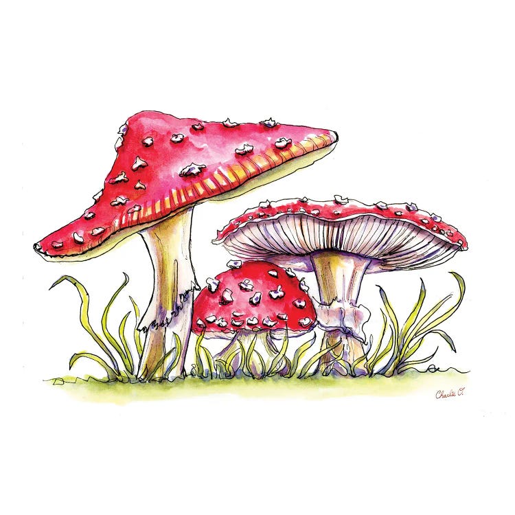 Storybook Mushrooms