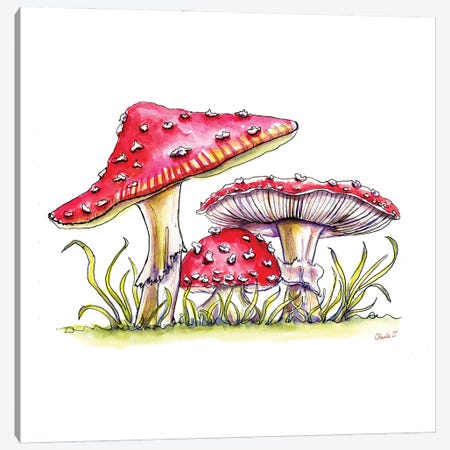 Storybook Mushrooms Canvas Print #COI70} by Charlie O'Shields Art Print